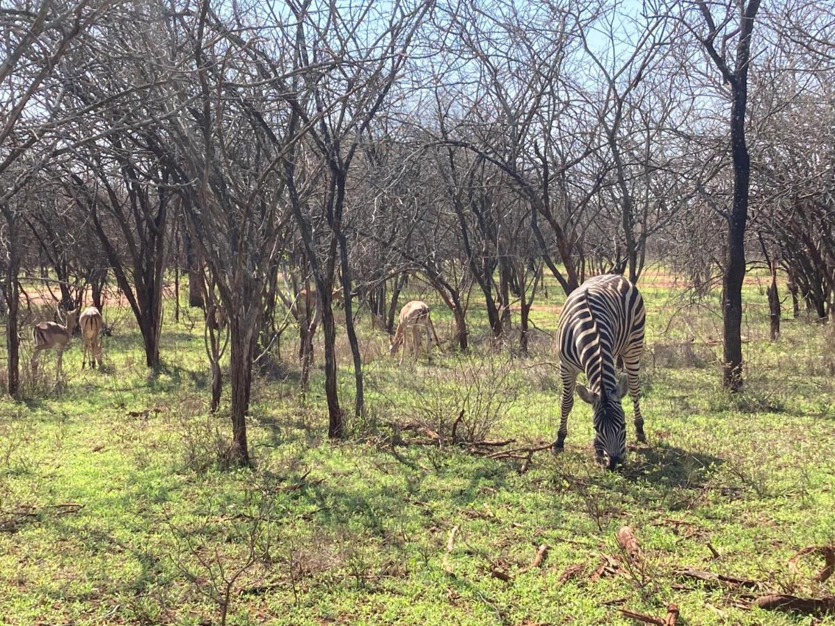 Doornkom Marloth Park Luaran gambar