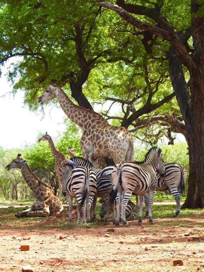 Doornkom Marloth Park Luaran gambar