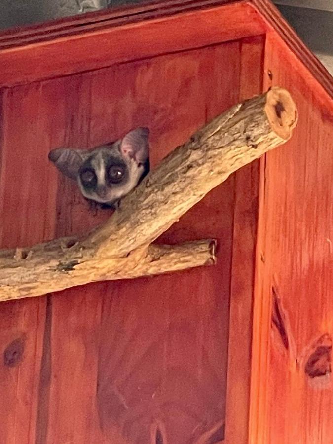 Doornkom Marloth Park Luaran gambar