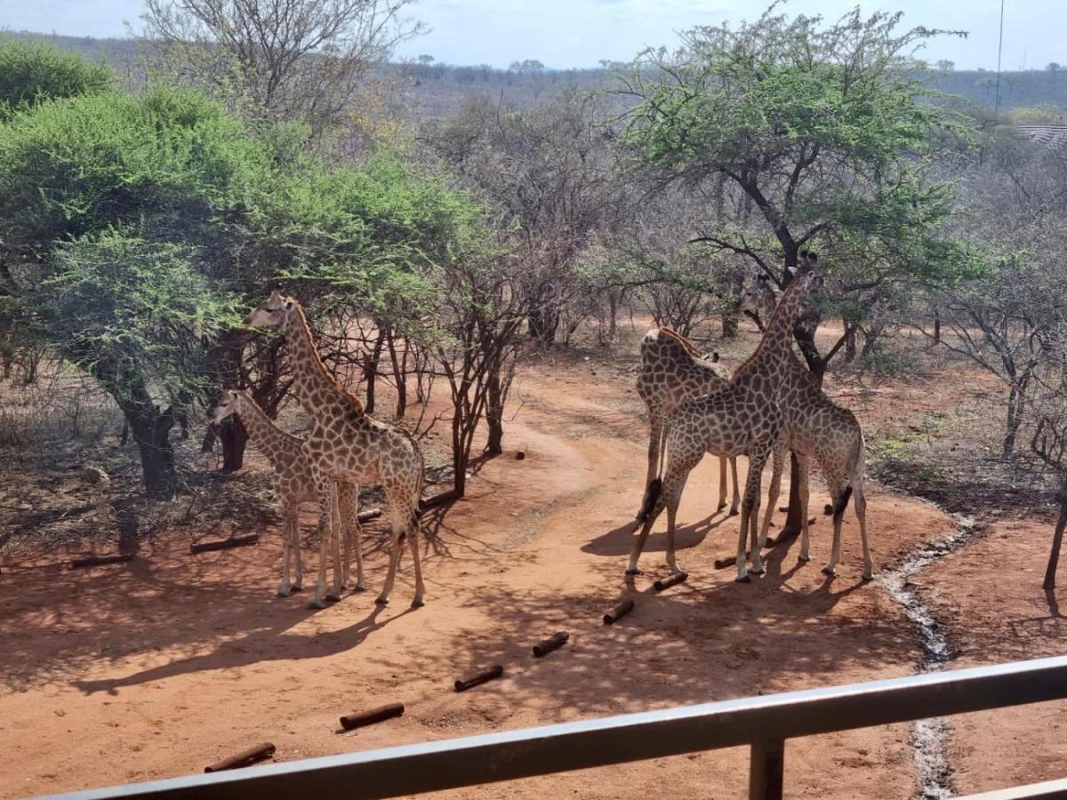 Doornkom Marloth Park Luaran gambar